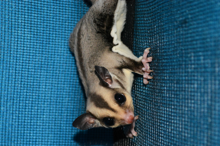 Photo of Bash
