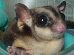Photo of Brandie
